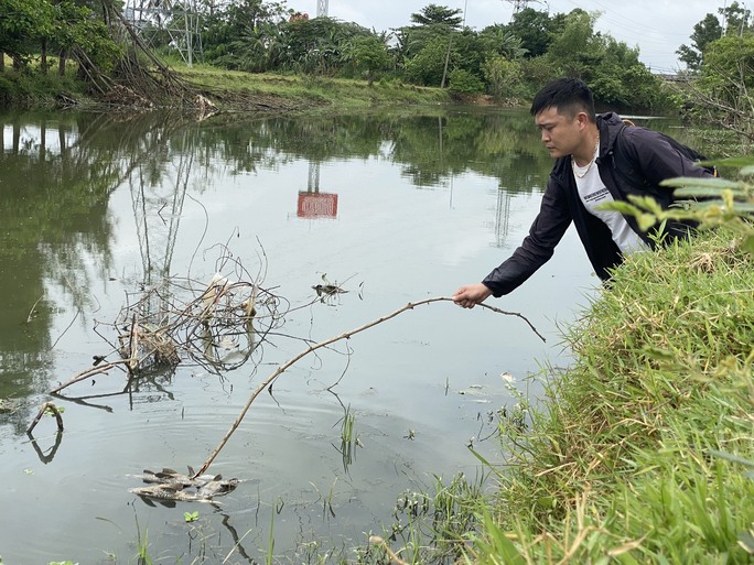 Lập đoàn kiểm tra nguyên nhân cá chết hàng loạt trên sông Bàu Giang - Ảnh 2.