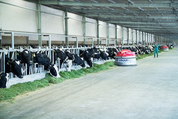 Mô hình phát triển bền vững Vinamilk Green Farm được chia sẻ tại hội nghị sữa toàn cầu - Ảnh 10.