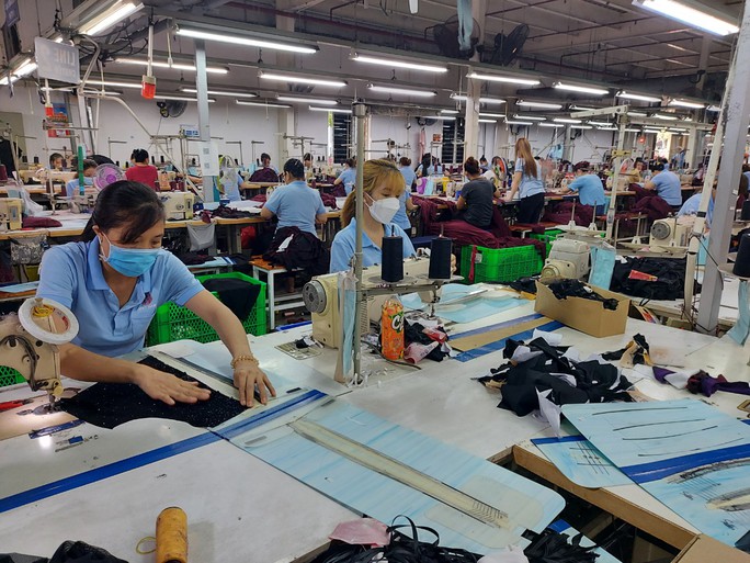 Chủ động điều chỉnh mức đóng BHXH, BHYT cho người lao động - Ảnh 1.