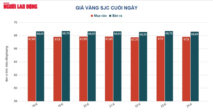 Giá vàng hôm nay 25-6: Đà giảm khựng lại - Ảnh 2.