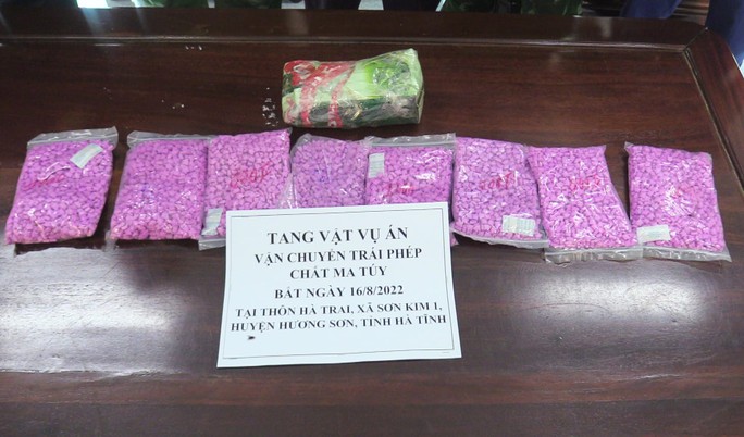 Lái ô tô chở 1kg ketamin, 7.500 viên ma túy từ Lào sang Việt Nam  - Ảnh 2.