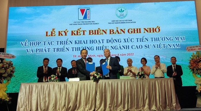 Phát triển thương hiệu ngành cao su Việt Nam - Ảnh 1.