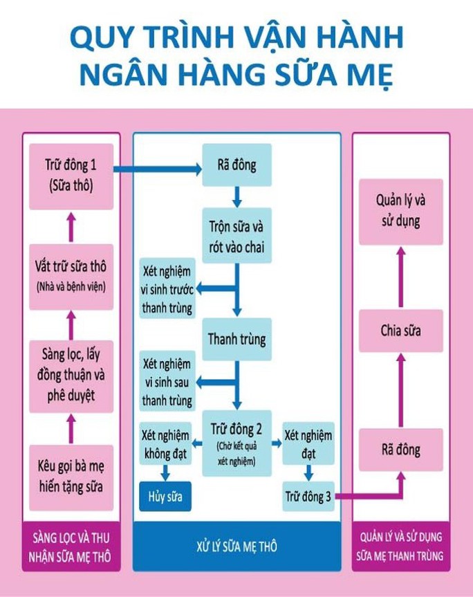 Kêu gọi phụ nữ mới sinh hiến sữa để giúp nhóm trẻ sinh non, bệnh tật - Ảnh 4. Kêu gọi phụ nữ mới sinh hiến sữa để giúp nhóm trẻ sinh non, bệnh tật - Ảnh 4.