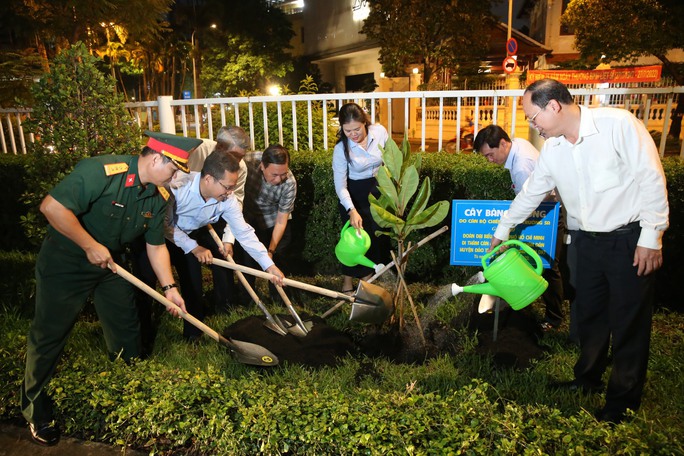 TP HCM tổ chức trồng cây bàng vuông do quân và dân Trường Sa gửi tặng - Ảnh 1.