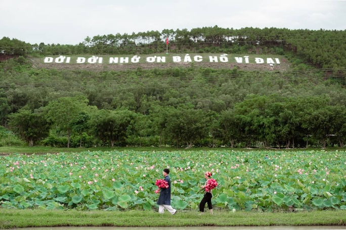 People in Uncle Ho's hometown are well off thanks to growing lotus - Photo 1.