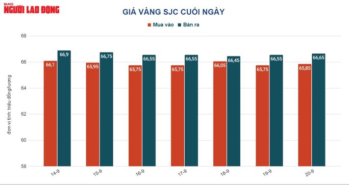 Giá vàng hôm nay 21-9: Đảo chiều giảm sốc, cổ phiếu quốc tế bị bán tháo - Ảnh 2.