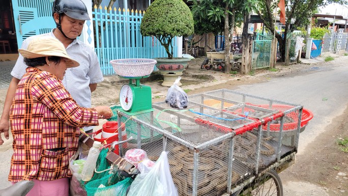 Đánh bắt đồng xa mùa nước nổi ở miền Tây - Ảnh 9.