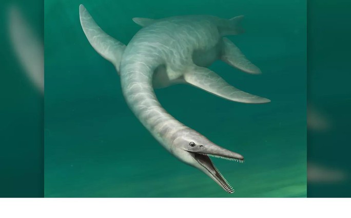 Tìm thấy quái vật chưa từng biết trên thế giới: Mặt cá sấu, cổ rắn, mình khủng long - Ảnh 1.