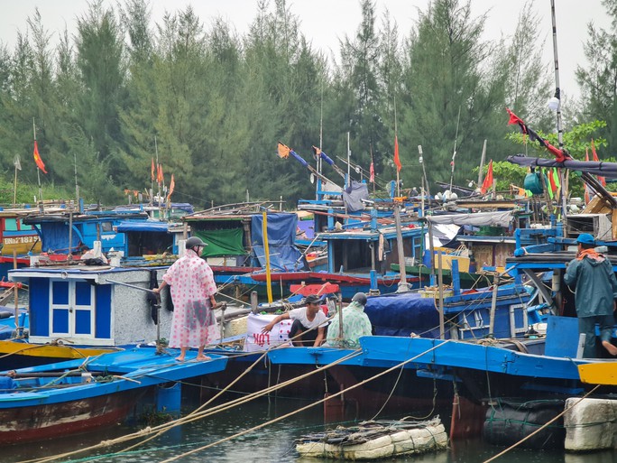 Siêu bão Noru cận kề, 60 ngư dân Đà Nẵng không chịu lên bờ - Ảnh 1.
