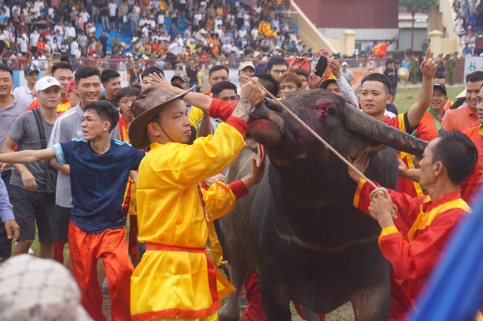 Hàng vạn khán giả khắp nơi đổ về Đồ Sơn xem chọi trâu - Ảnh 1.