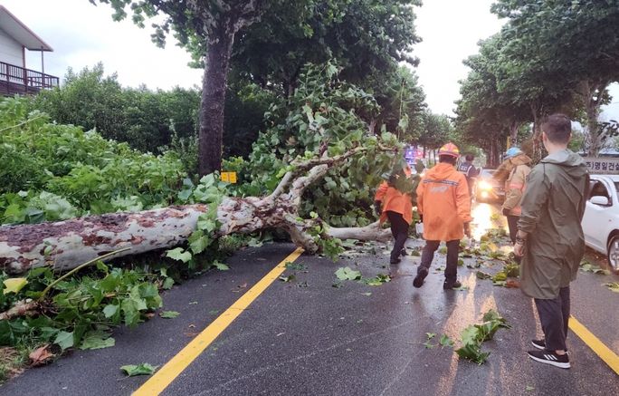 Hàn Quốc đối mặt siêu bão Hinnamnor, hàng ngàn người sơ tán - Ảnh 6.
