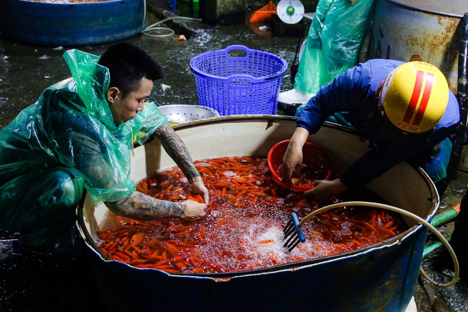Chợ cá Yên Sở nhộn nhịp trước ngày ông Công - ông Táo - Ảnh 5.