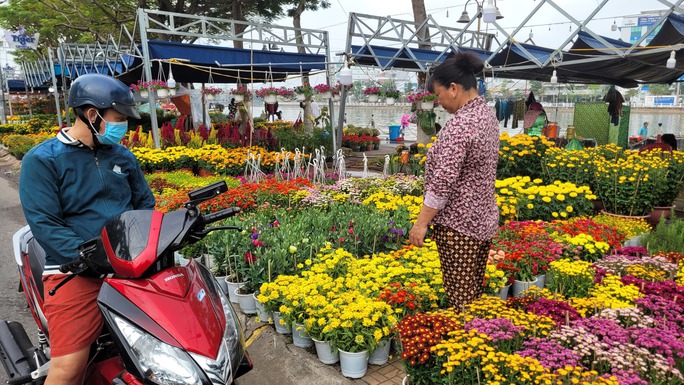 Lão mai khổng lồ có giá 6,8 tỉ đồng ở miền Tây - Ảnh 16.