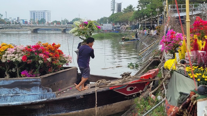 Lão mai khổng lồ có giá 6,8 tỉ đồng ở miền Tây - Ảnh 22.