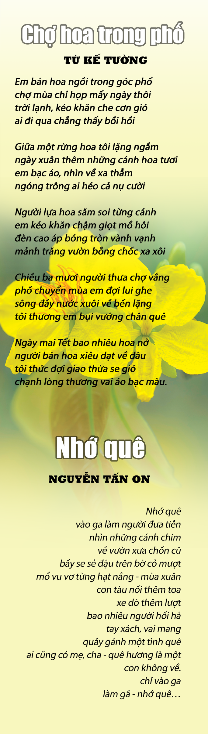 Bài thơ Chợ hoa trong phố và Nhớ quê - Ảnh 1.