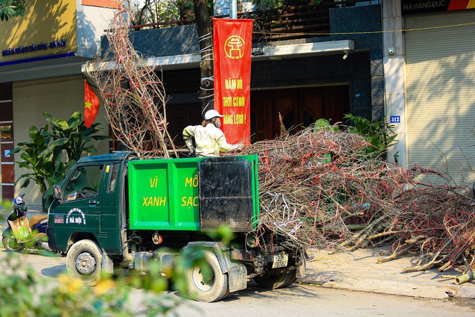 30 Tết, tiểu thương quyết chặt bỏ đào chứ không bán rẻ - Ảnh 13.