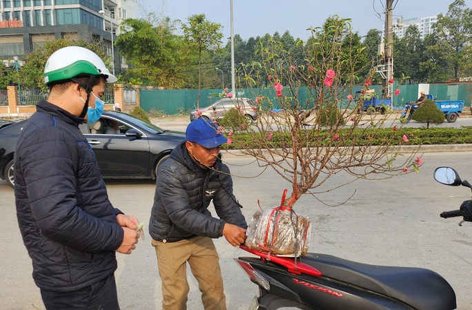 Đào rừng ế ẩm, người bán vứt thành đống trên phố chiều 30 Tết - Ảnh 10.