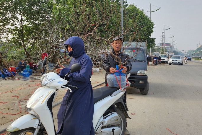 Đào rừng ế ẩm, người bán vứt thành đống trên phố chiều 30 Tết - Ảnh 11.