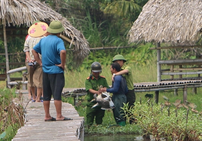 Bẫy tàn sát chim trời lại tràn lan trên các cánh đồng ở Thanh Hóa - Ảnh 6.