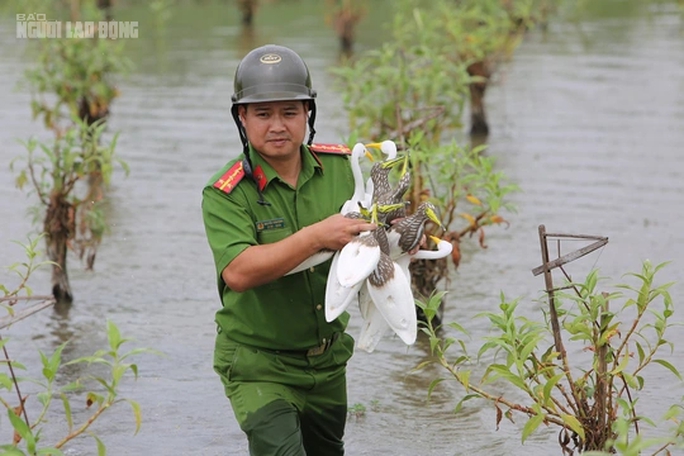 Bẫy tàn sát chim trời lại tràn lan trên các cánh đồng ở Thanh Hóa - Ảnh 4.