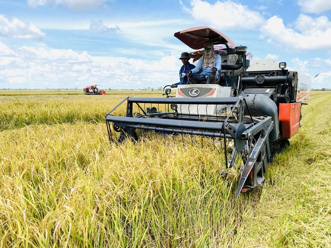 Sắp có “Con đường lúa gạo Việt Nam” tại Hậu Giang - Ảnh 4.