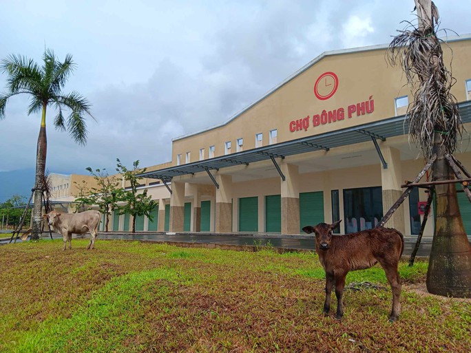 Chê chợ mới Đông Phú chật, tiểu thương ở Quảng Nam chưa chịu vào buôn bán - Ảnh 1. Chê chợ mới Đông Phú chật, tiểu thương ở Quảng Nam chưa chịu vào buôn bán - Ảnh 1.
