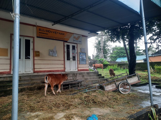 Mưa lũ ở Hà Tĩnh làm 2 người tử vong, hơn 22.500 học sinh phải nghỉ học - Ảnh 4. Mưa lũ ở Hà Tĩnh làm 2 người tử vong, hơn 22.500 học sinh phải nghỉ học - Ảnh 4.