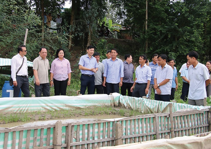 Đồng Tháp: Phát triển tư duy kinh tế nông nghiệp từ hội quán - Ảnh 5. Đồng Tháp: Phát triển tư duy kinh tế nông nghiệp từ hội quán - Ảnh 5.