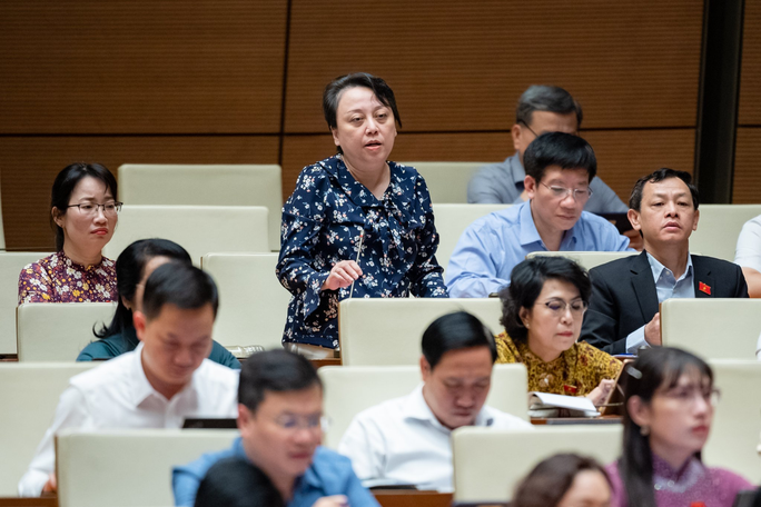 Đại biểu Phạm Khánh Phong Lan: “Quy định, thủ tục quá phức tạp, đá nhau và chậm sửa đổi” - Ảnh 3. Đại biểu Phạm Khánh Phong Lan: “Quy định, thủ tục quá phức tạp, đá nhau và chậm sửa đổi” - Ảnh 3.