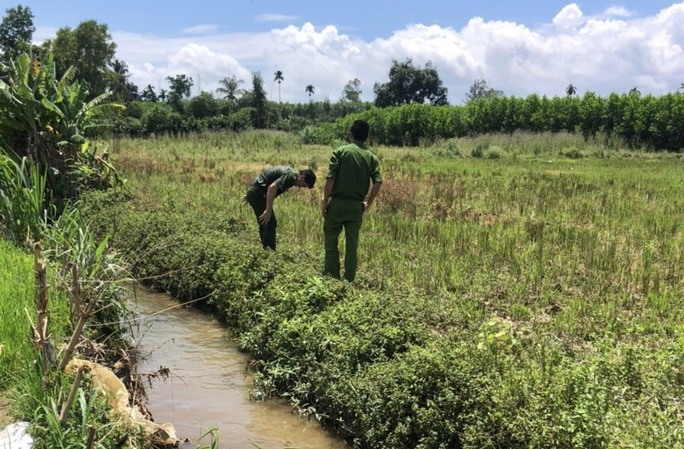 Bắt cua ngoài đồng, người phụ nữ tử vong cạnh bẫy bắt chuột kích điện - Ảnh 1.