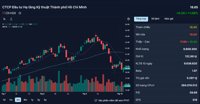 Vì sao Tổng Giám đốc CII và vợ đăng ký bán sạch 10,04 triệu cổ phiếu? - Ảnh 1.