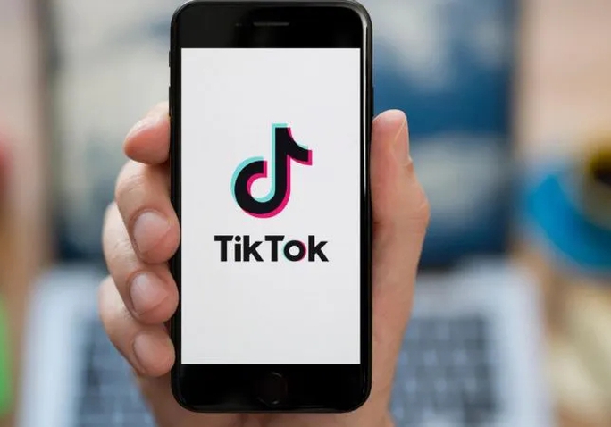 Bộ Thông tin và Truyền thông công bố loạt vi phạm của TikTok tại Việt Nam - Ảnh 1.