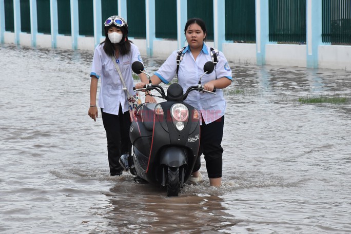 3 địa phương ở miền Tây bị triều cường bủa vây - Ảnh 3.