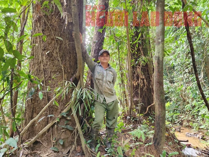 Tỉnh ủy Đắk Nông chỉ đạo xử lý thông tin Bất an với 3 dự án thủy điện Đắk R’lấp - Ảnh 1. Tỉnh ủy Đắk Nông chỉ đạo xử lý thông tin Bất an với 3 dự án thủy điện Đắk R’lấp - Ảnh 1.