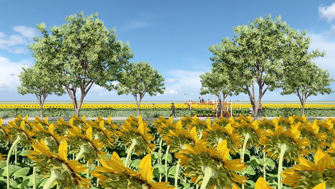 Ngắm phối cảnh tuyệt đẹp của cánh đồng hoa hướng dương ven bờ sông Sài Gòn - Ảnh 1.