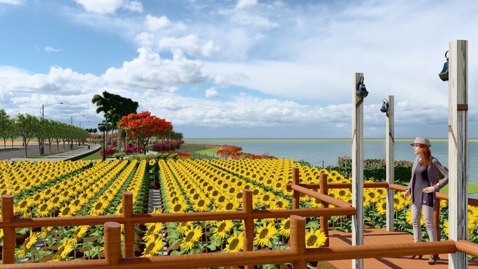 Ngắm phối cảnh tuyệt đẹp của cánh đồng hoa hướng dương ven bờ sông Sài Gòn - Ảnh 12.
