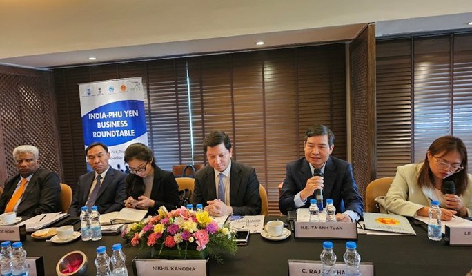 Phú Yên hướng đến thu hút đầu tư đối tác Ấn Độ - Ảnh 1.
