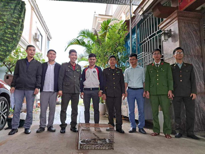 Bàn giao cá thể trăn đất quý hiếm cho Vườn quốc gia Vũ Quang - Ảnh 1. Bàn giao cá thể trăn đất quý hiếm cho Vườn quốc gia Vũ Quang - Ảnh 1.