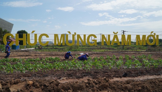 TP HCM khoác áo mới cho bờ Đông sông Sài Gòn - Ảnh 4. TP HCM khoác áo mới cho bờ Đông sông Sài Gòn - Ảnh 4.