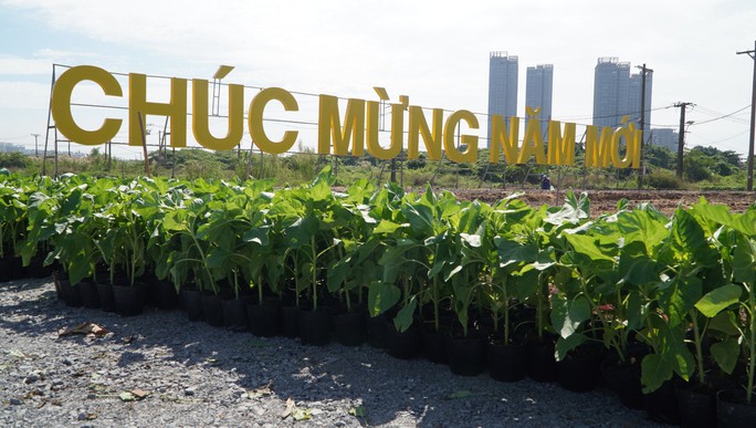 TP HCM khoác áo mới cho bờ Đông sông Sài Gòn - Ảnh 18. TP HCM khoác áo mới cho bờ Đông sông Sài Gòn - Ảnh 18.
