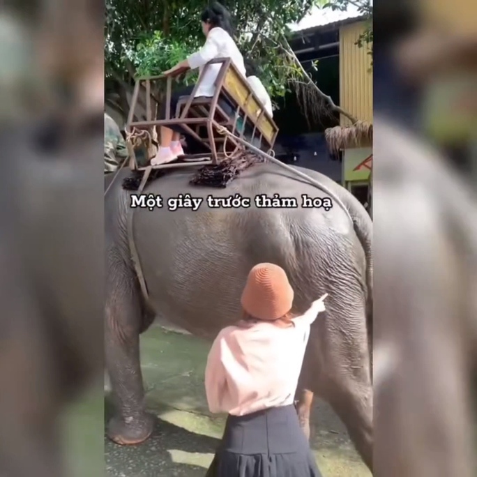 CLIP: 2 du khách đùa giỡn bị voi quật, đá lộn vòng - Ảnh 1. CLIP: 2 du khách đùa giỡn bị voi quật, đá lộn vòng - Ảnh 1.