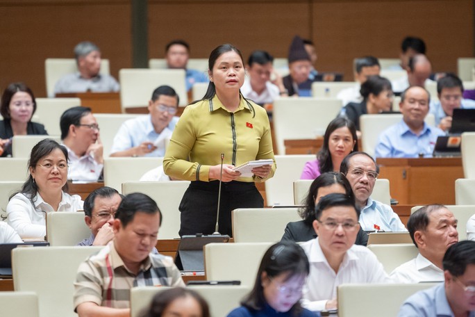 Bộ trưởng TN-MT: Khai thác khoáng sản trái phép có cán bộ địa phương bảo vệ - Ảnh 1.