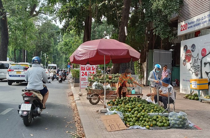 Đàm phán xuất khẩu cam sành sang Trung Quốc - Ảnh 1.