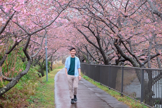 Choáng ngợp trước rừng hoa anh đào nở sớm ở Nhật Bản - Ảnh 5.