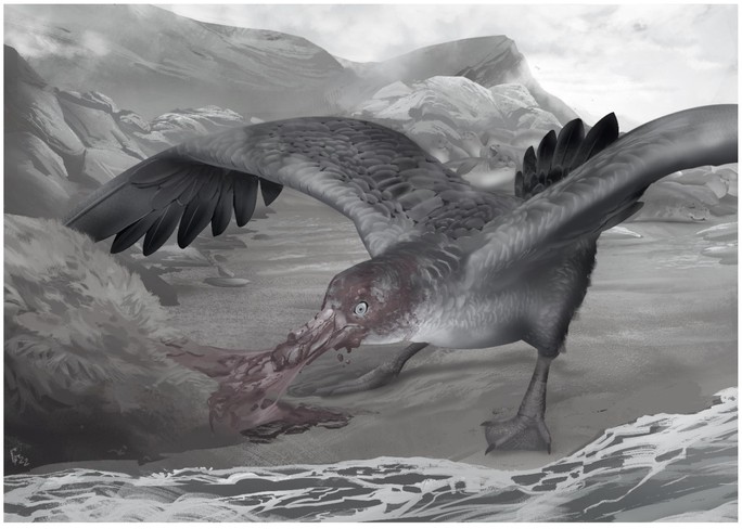 Phát hiện hải âu quái vật sát thủ như thằn lằn bay và có thể tái sinh - Ảnh 1.