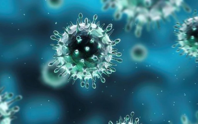 CDC: Cảnh báo virus H5N1 nhánh 2.3.4.4b lại lây thêm loài mới - Ảnh 1.