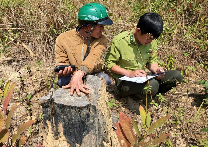 Cận cảnh rừng bị đốt phá, đầu độc trong dự án 25.000 tỉ đồng của Công ty Sài Gòn - Đại Ninh - Ảnh 5.