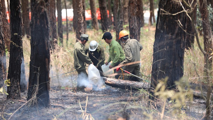 Đề nghị khen thưởng 1 tập thể, 11 cá nhân chữa cháy rừng đèo Prenn - Ảnh 2.