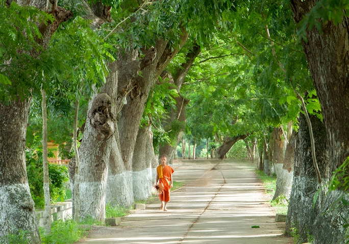 Chùa hàng còng - Vẻ đẹp giản dị vùng Bảy Núi An Giang - Ảnh 1.