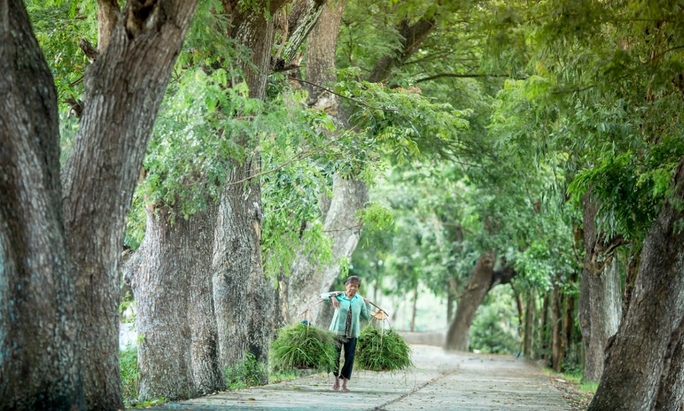 Chùa hàng còng - Vẻ đẹp giản dị vùng Bảy Núi An Giang - Ảnh 9.